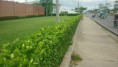 /album/fotogaleria/a304478-124889554330953-1148765111-n-jpg/
